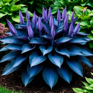 Хоста Сикрет Гров купить по цене от 570р. в интернет-магазине «Посадика» с доставкой почтой в в Нижнем Новгороде и по всей России – [изображение №1].