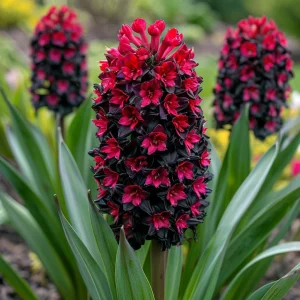 Гиацинт Джем Стоун купить по цене от 2099р. в интернет-магазине «Посадика» с доставкой почтой в в Нижнем Новгороде и по всей России – [изображение №1].