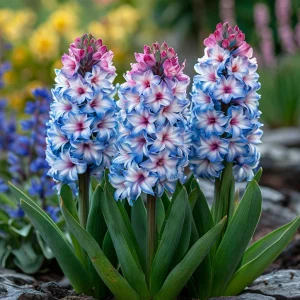 Гиацинт Пинк Мари купить по цене от 2099р. в интернет-магазине «Посадика» с доставкой почтой в в Нижнем Новгороде и по всей России – [изображение №1].