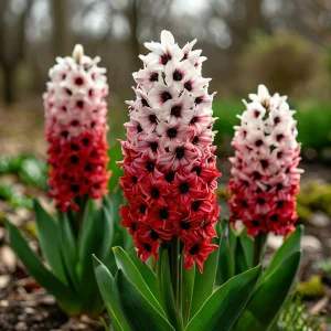 Гиацинт Скай Гарден купить по цене от 2099р. в интернет-магазине «Посадика» с доставкой почтой в в Нижнем Новгороде и по всей России – [изображение №1].